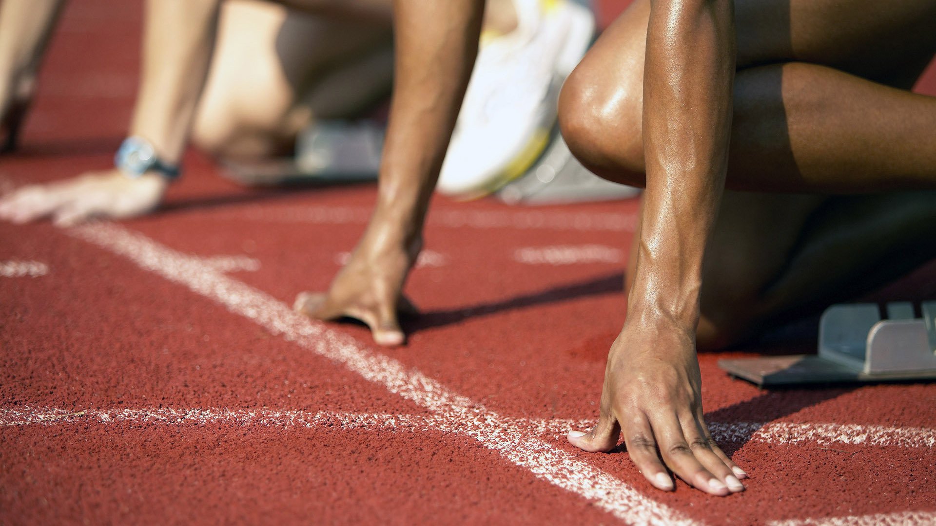 游泳世锦赛：中国队夺金不断，实力再攀高峰！，游泳世锦赛 2022